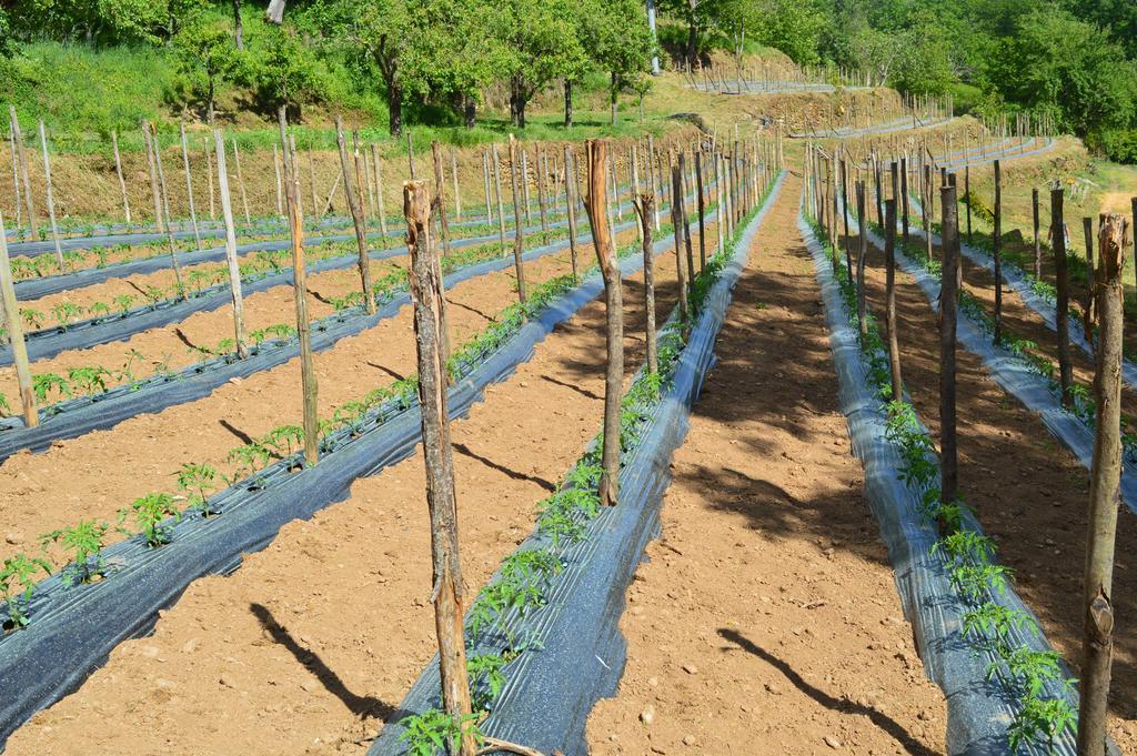 Agriturismo E Turre Serrastretta Luaran gambar