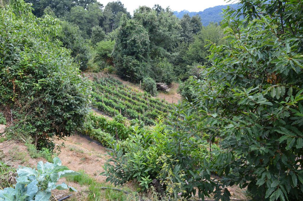 Agriturismo E Turre Serrastretta Luaran gambar