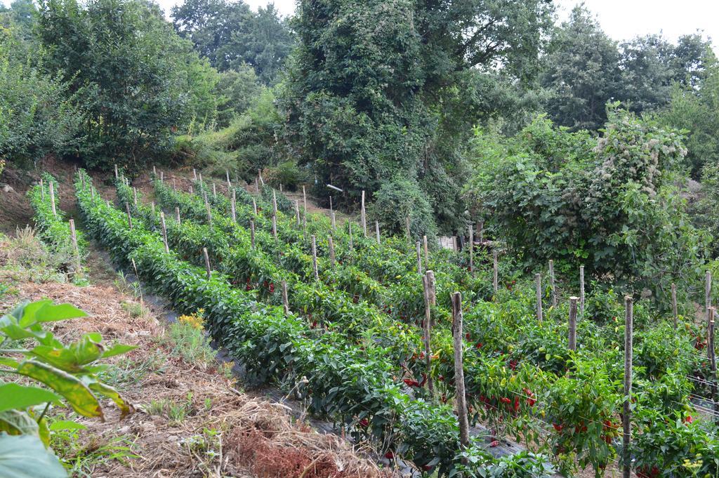 Agriturismo E Turre Serrastretta Luaran gambar